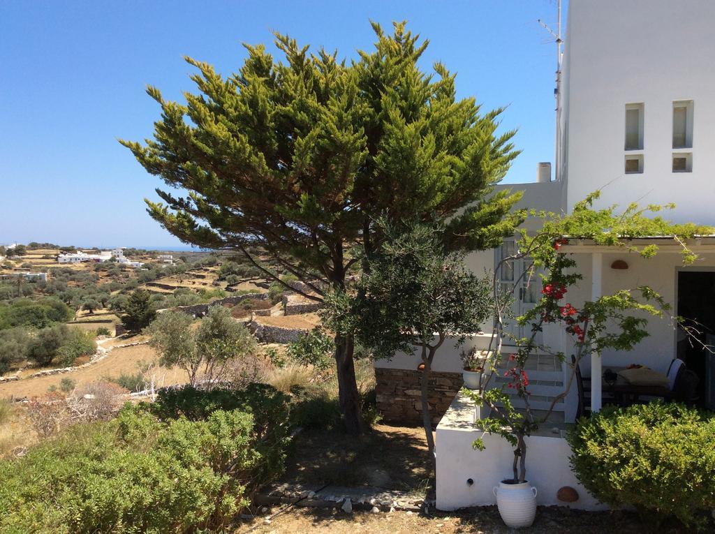 Peristeronas House Sifnos - Dove Cot Sifnos Villa Apollonia Dış mekan fotoğraf
